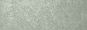 KENTIA SILVER RECT 31,6X90