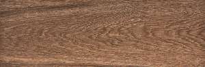 20X60 FRONDA ROBLE